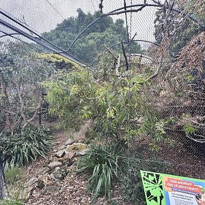 Australian Aviary