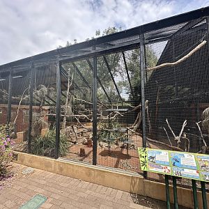 Cockatoo Aviary