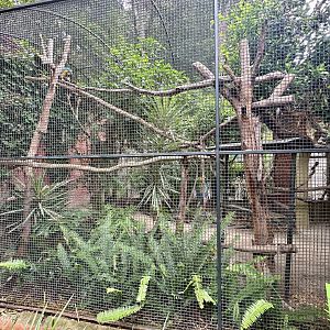 Blue-and-yellow Macaw Aviary