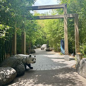 Bamboo Forest - Entrance