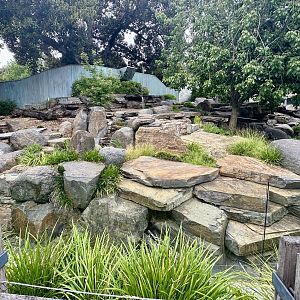 Giant Panda Exhibit 1