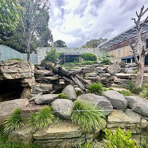 Giant Panda Exhibit 1