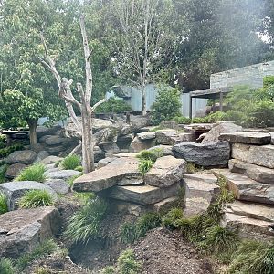 Giant Panda Exhibit 1