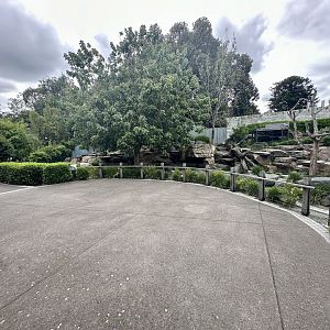 Bamboo Forest - Viewing Stage