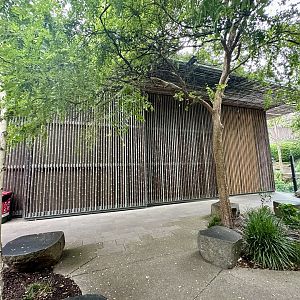 Bamboo Forest - Giant Panda Building