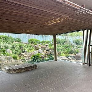 Giant Panda Exhibit 2 (Viewing Shelter)