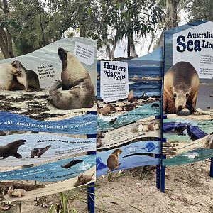 Seal Bay - Signage