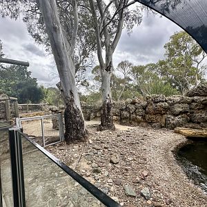 Australian Sea Lion Exhibit