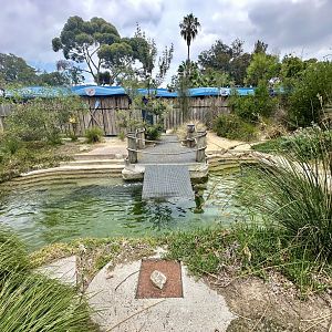 Little Blue Penguin Exhibit