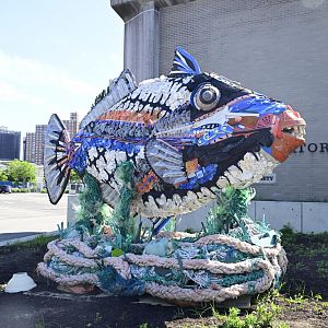 New York Aquarium - Triggerfish Art Installation
