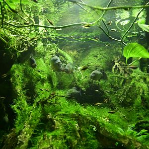 Conservation Hall - Fact or Fable Exhibit