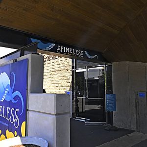 Spineless/PlayQuarium - Entrance