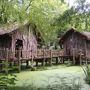 African section theming - Tofinou village, 2024-08-05