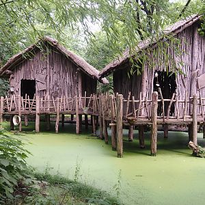 African section theming - Tofinou village, 2024-08-05