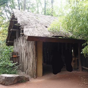 African section theming - Tofinou village, 2024-08-05