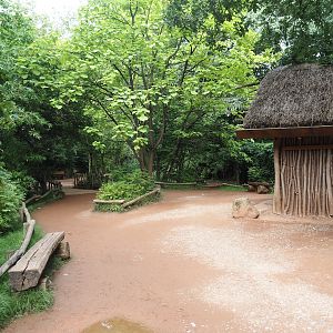 Walkway in the African section, 2024-08-05