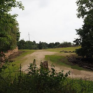 Grass savanna exhibit, 2024-08-05