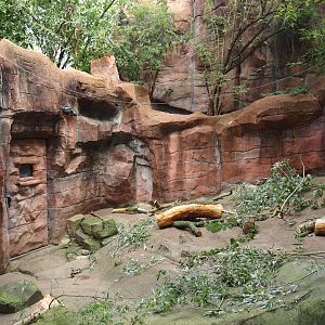 Indian crested porcupine exhibit, 2024-08-05