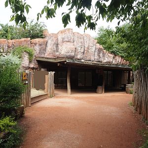Dwarf mongoose exhibit and Boma/Giraffe barn viewing area, 2024-08-05