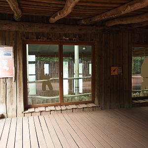 View into Boma/Rothschild's giraffe barn, 2024-08-05