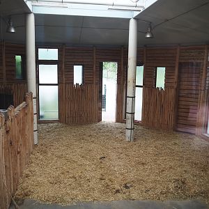 Boma/Rothschild's giraffe barn, 2024-08-05