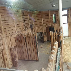 Boma/Rothschild's giraffe barn - Separation pens, 2024-08-05