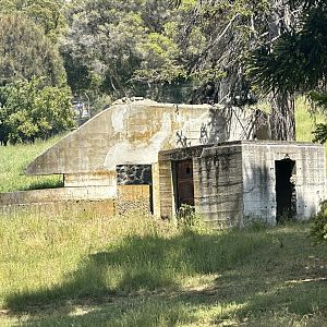 Beaumaris Zoo - Polar Bear Pit