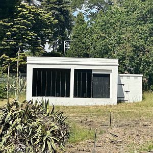 Beaumaris Zoo - Leopard Cage