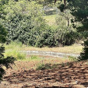 Beaumaris Zoo - Waterfowl Pond
