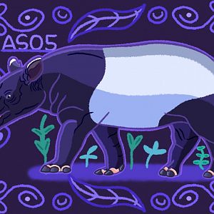 Malayan Tapir