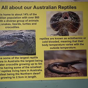 Sign inside 'Dragon House'