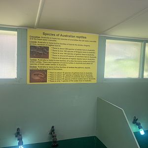 Sign inside 'Dragon House'