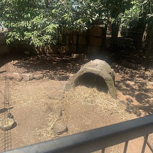 2nd Common Wombat exhibit (Wombat is in back of the log burrow but can barely see in photo)