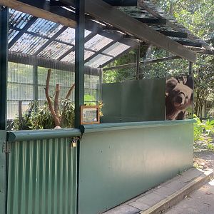 1st of 4 Koala exhibits at the park