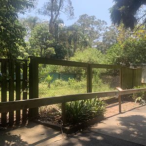 1st Southern Cassowary exhibit