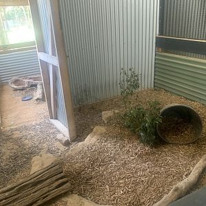 Short-beaked Echidna (unsighted) exhibit inside the Barn (has outdoor area too access route to seen in this photo)