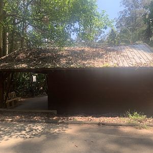 3rd (and 4th) Koala exhibits (think the least good ones, indoor ones that are quite small)