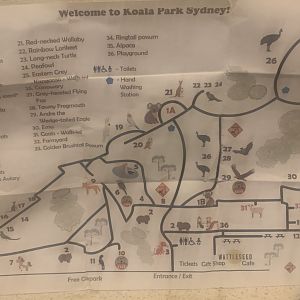 Koala Park brochure map December 2024