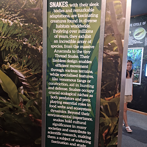 AI-generated signage. Seriously??? - Cairns Koalas and Creatures