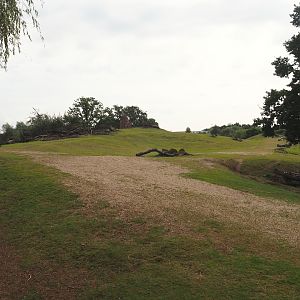 Grass savanna exhibit, 2024-08-05