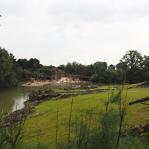 Grass savanna exhibit, Boat safari tour canal and Olive baboon island, 2024-08-05
