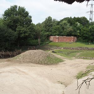 Bush/Tree savanna exhibit, 2024-08-05