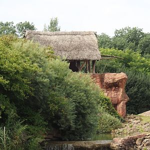 Serengeti View - Viewing area for Bush/Tree savanna exhibit, 2024-08-05