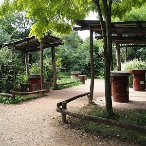 African-themed eating area, 2024-08-05