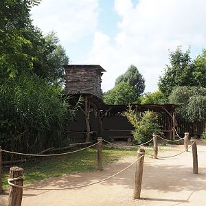 African Queen Boat Safari dock, 2024-08-05