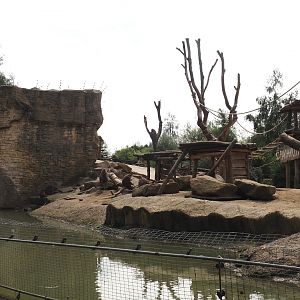 Boat Safari - Olive baboon island, 2024-08-05