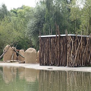 Boat Safari - Rock hyrax island and house, 2024-08-05