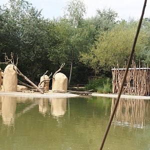 Boat Safari - Rock hyrax island and house, 2024-08-05