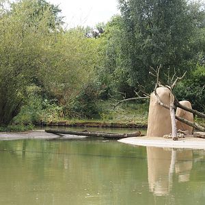 Boat Safari - Rock hyrax island, 2024-08-05