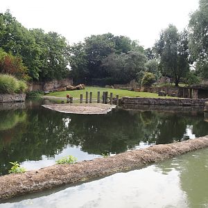 Boat Safari - Hippopotamus and Western sitatunga exhibit, 2024-08-05